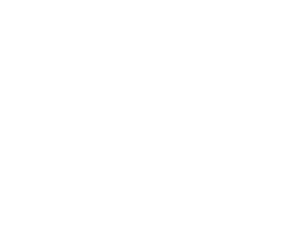 BLZ Marketing